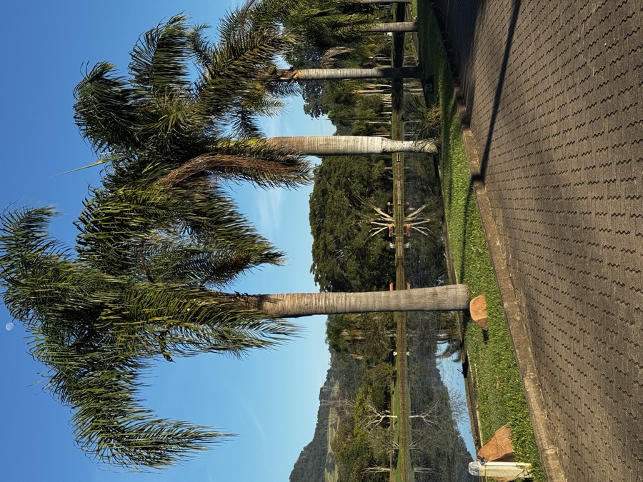 Natureza do Espaço Elion