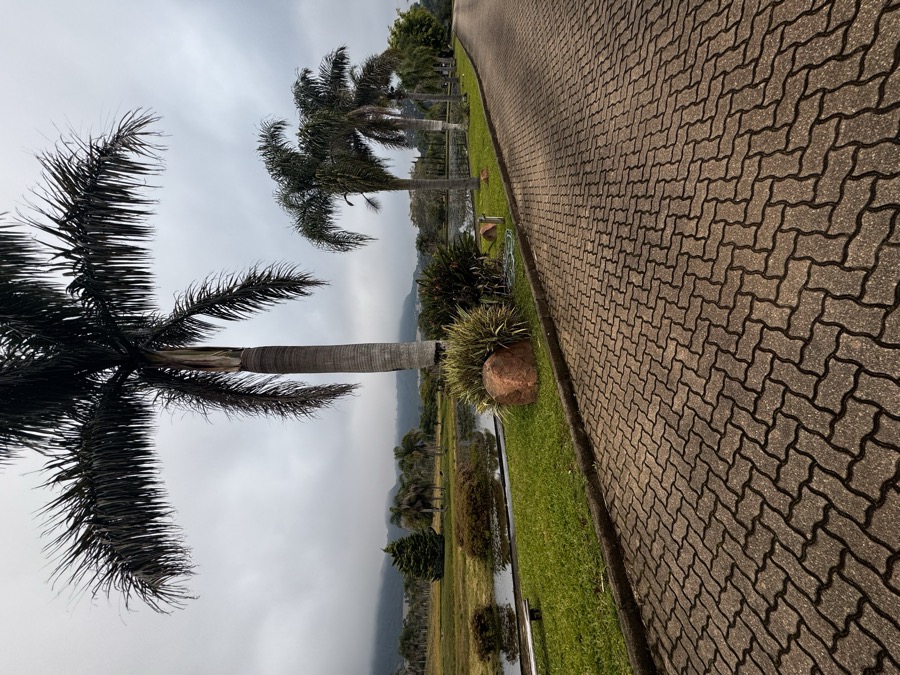 Lago do Espaço Elion